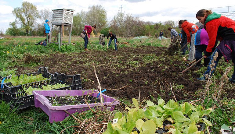 Wir verändern die Welt