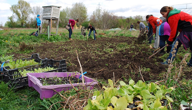 Ernährungssouveränität & Solidarische Landwirtschaft