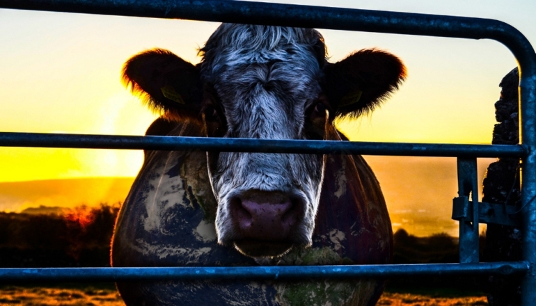 Cowspiracy
