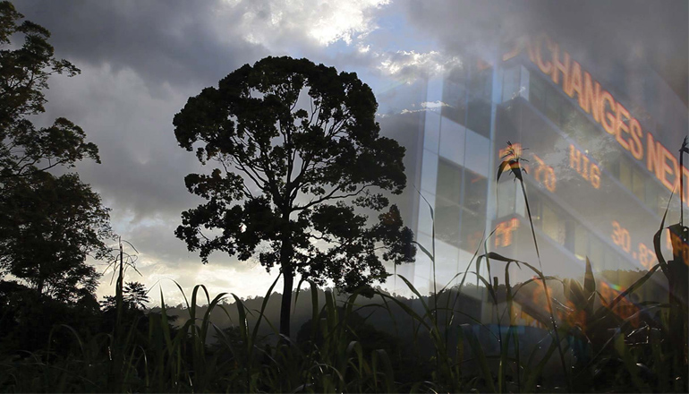 Natur - Spekulationsobjekt mit Zukunft